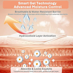 hydrocolloid wound dressing smart gel moisture control